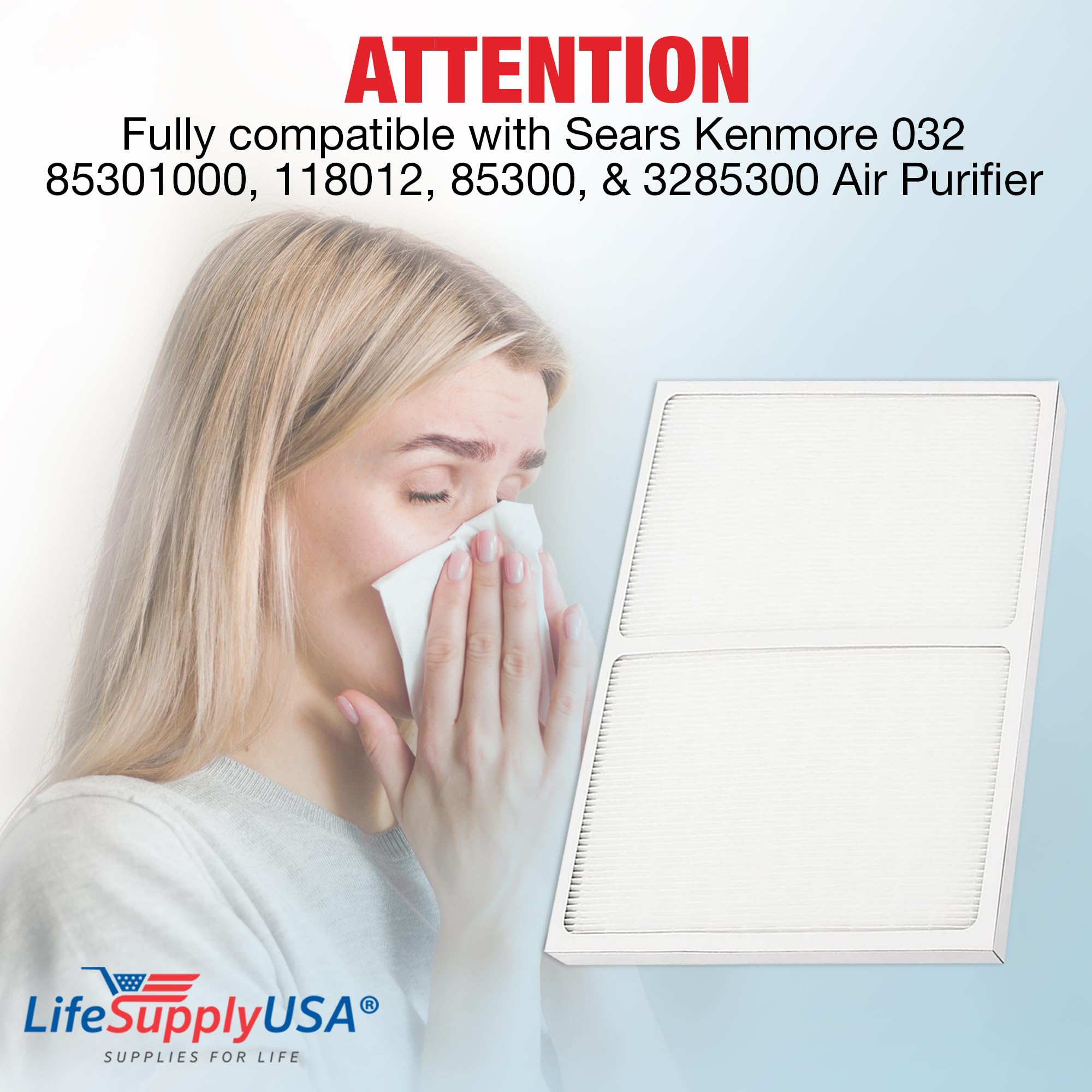 Amazon.com: True HEPA Air Cleaner Filter Replacement 85301